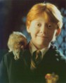 /album/galerie-photos/ron-weasley-jpg/